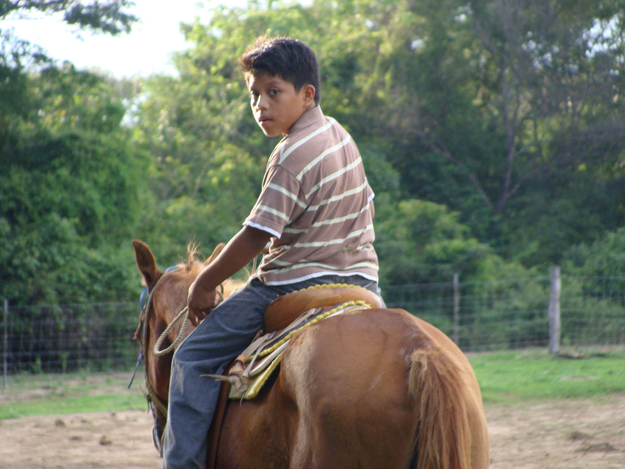 Horseback riding is great therapy for children who have been abused.